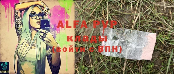 гашик Арсеньев