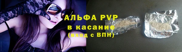гашик Арсеньев