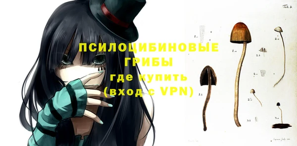 дмт Аркадак