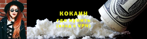 гашик Арсеньев