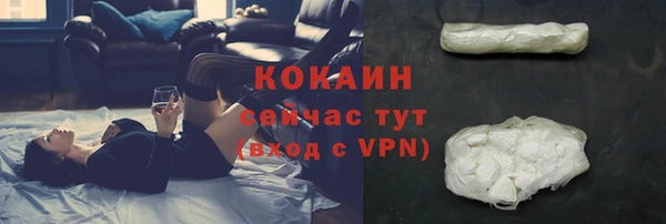 гашик Арсеньев