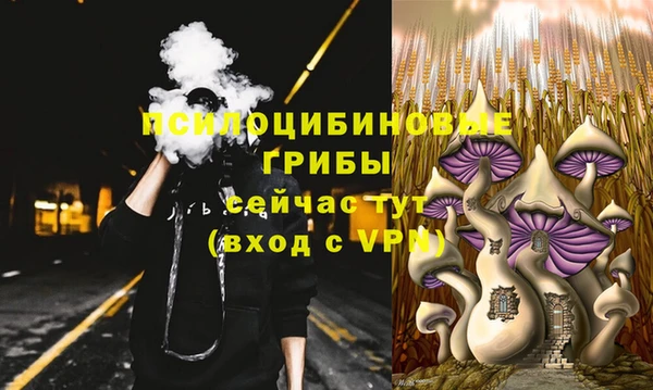 дмт Аркадак