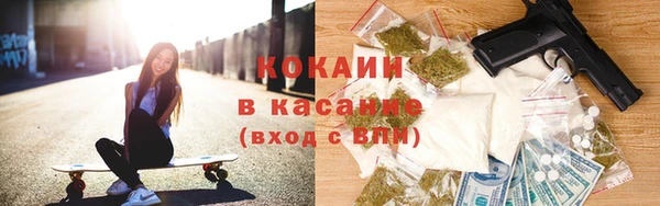гашик Арсеньев