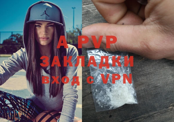 гашик Арсеньев