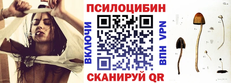 Галлюциногенные грибы мицелий  закладки  Семёнов 